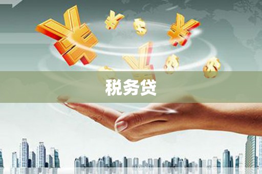 白城税务贷