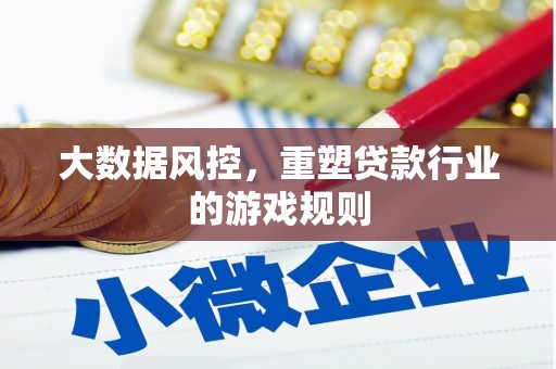 白城大数据风控，重塑贷款行业的游戏规则