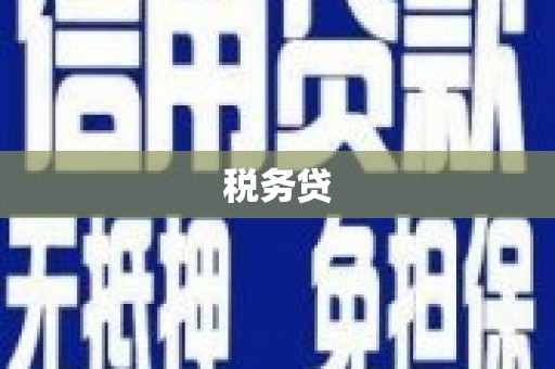 白城税务贷