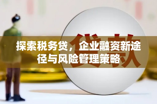 白城探索税务贷，企业融资新途径与风险管理策略