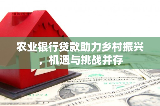 白城农业银行贷款助力乡村振兴，机遇与挑战并存