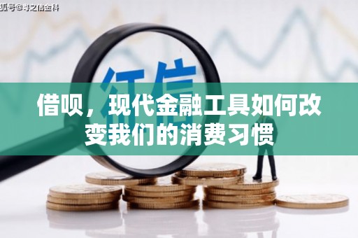 白城借呗，现代金融工具如何改变我们的消费习惯