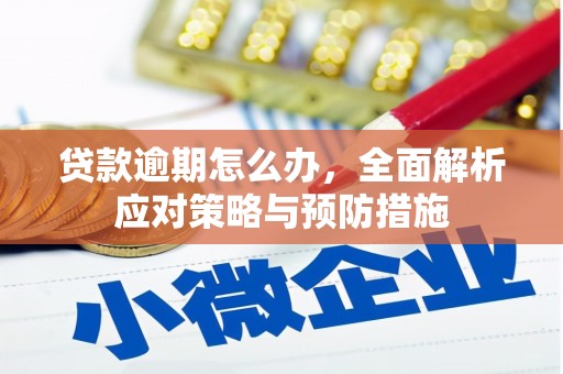 白城贷款逾期怎么办，全面解析应对策略与预防措施