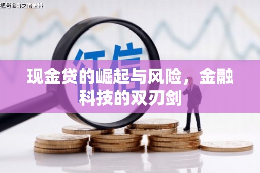 白城现金贷的崛起与风险，金融科技的双刃剑