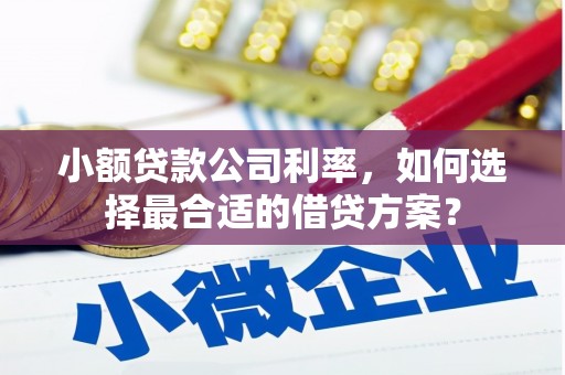 白城小额贷款公司利率，如何选择最合适的借贷方案？