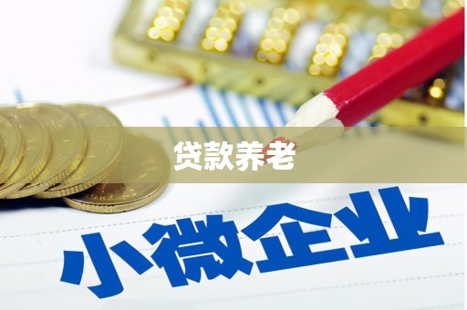 白城贷款养老