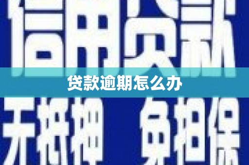 白城贷款逾期怎么办