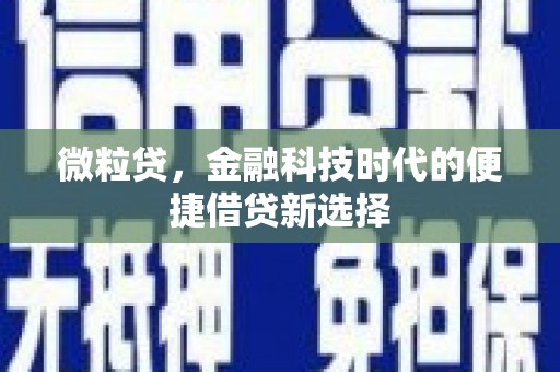 白城微粒贷，金融科技时代的便捷借贷新选择