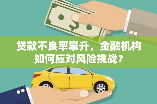 白城贷款不良率攀升，金融机构如何应对风险挑战？