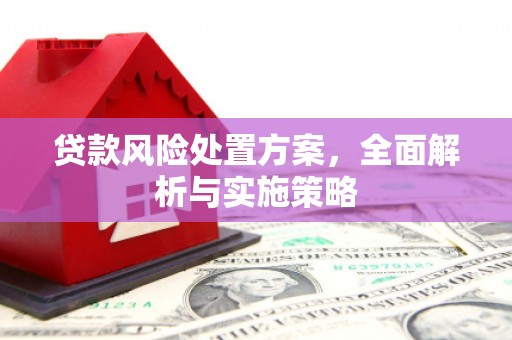 白城贷款风险处置方案，全面解析与实施策略